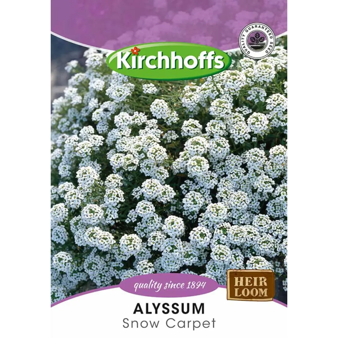 Alyssum (Snow Carpet) - Kirchhoff Seeds, Flowers, Kirchhoffs