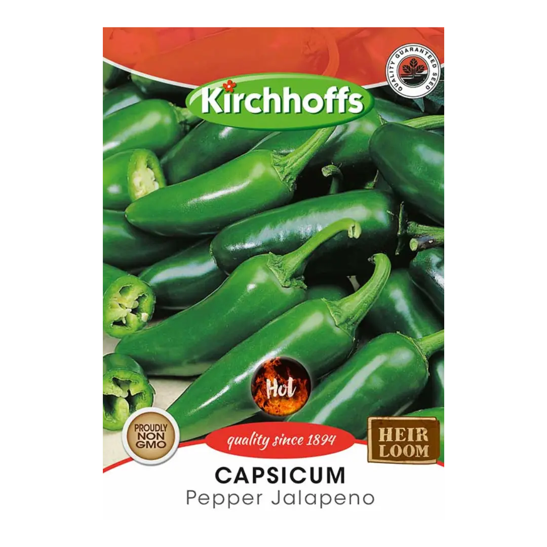 Capsicum (Pepper Jalapeno) - Kirchhoff Seeds, Vegetables Kirchhoffs