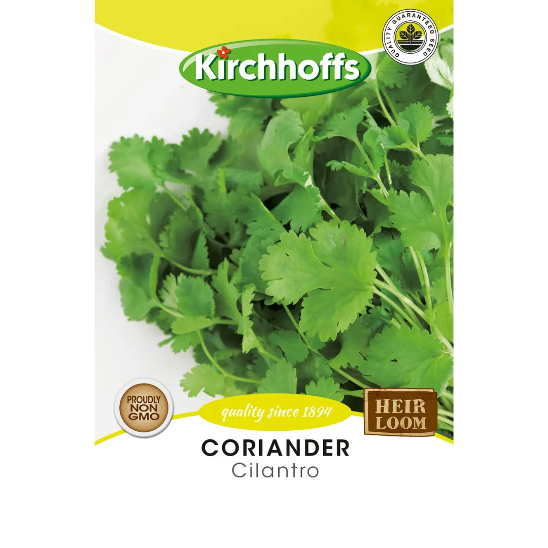 Coriander (Cilantro) - Kirchhoff Seeds, Herbs Kirchhoffs