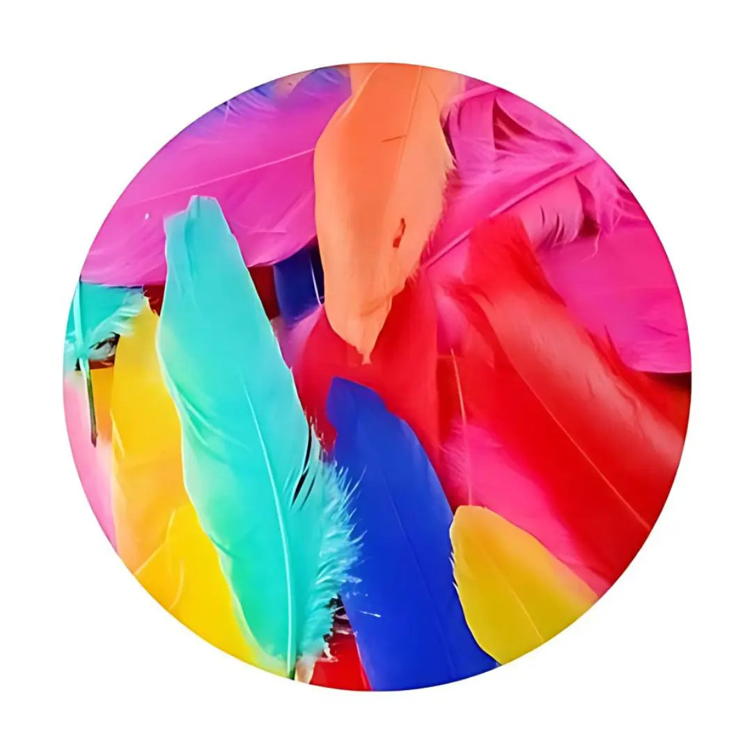 Crazy Crafts Mixed Goose Feathers - Small, Assorted Colours, 20pcs Crazy Crafts