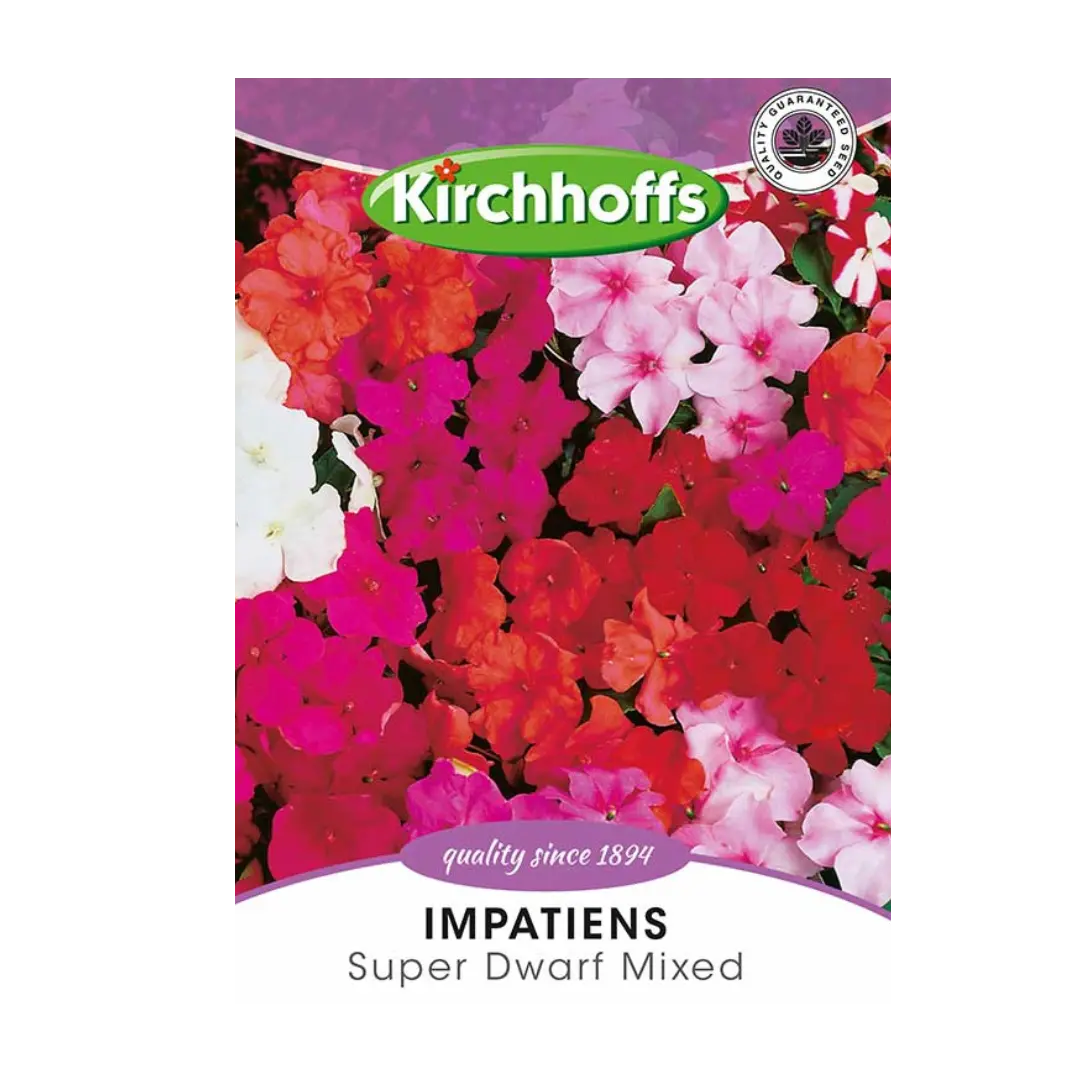 Impatiens (Super Dwarf Mixed) - Kirchhoff Seeds, Flowers Kirchhoffs