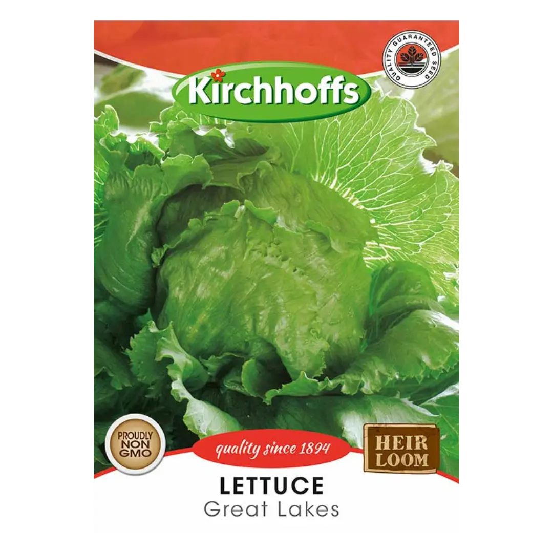 Lettuce (Great Lakes) - Kirchhoff Seeds, Vegetables Kirchhoffs