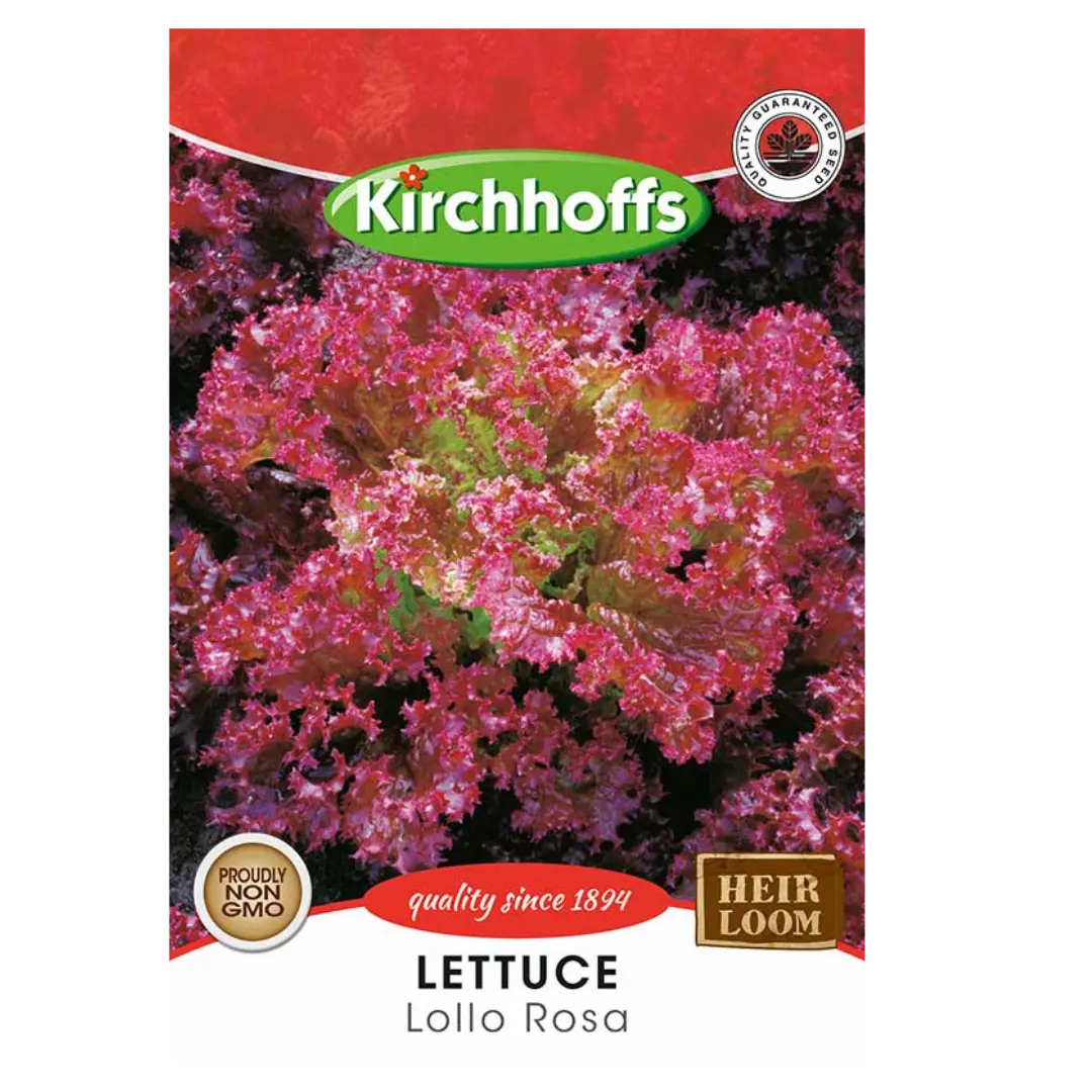 Lettuce (Lollo Rosa) - Kirchhoff Seeds, Vegetables Kirchhoffs