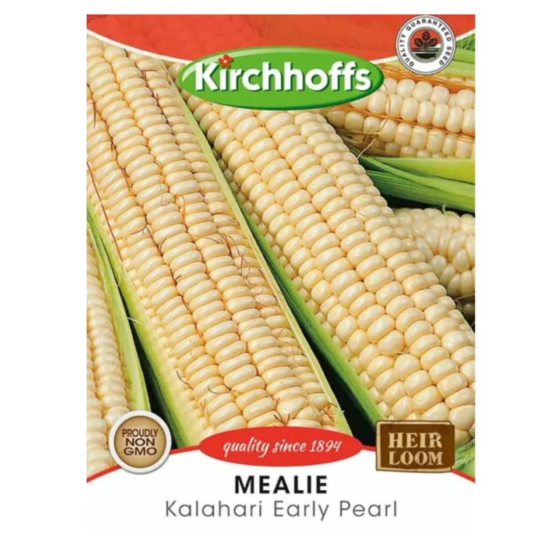 Mealie (Kalahari Early Pearl) - Kirchhoff Seeds, Vegetables Kirchhoffs