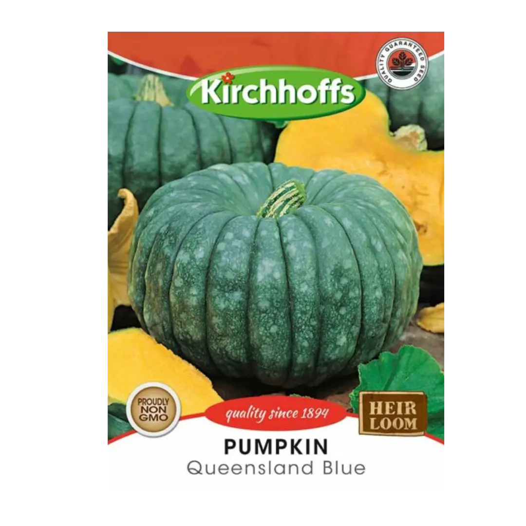 Pumpkin (Queensland Blue) - Kirchhoff Seeds, Vegetables Kirchhoffs