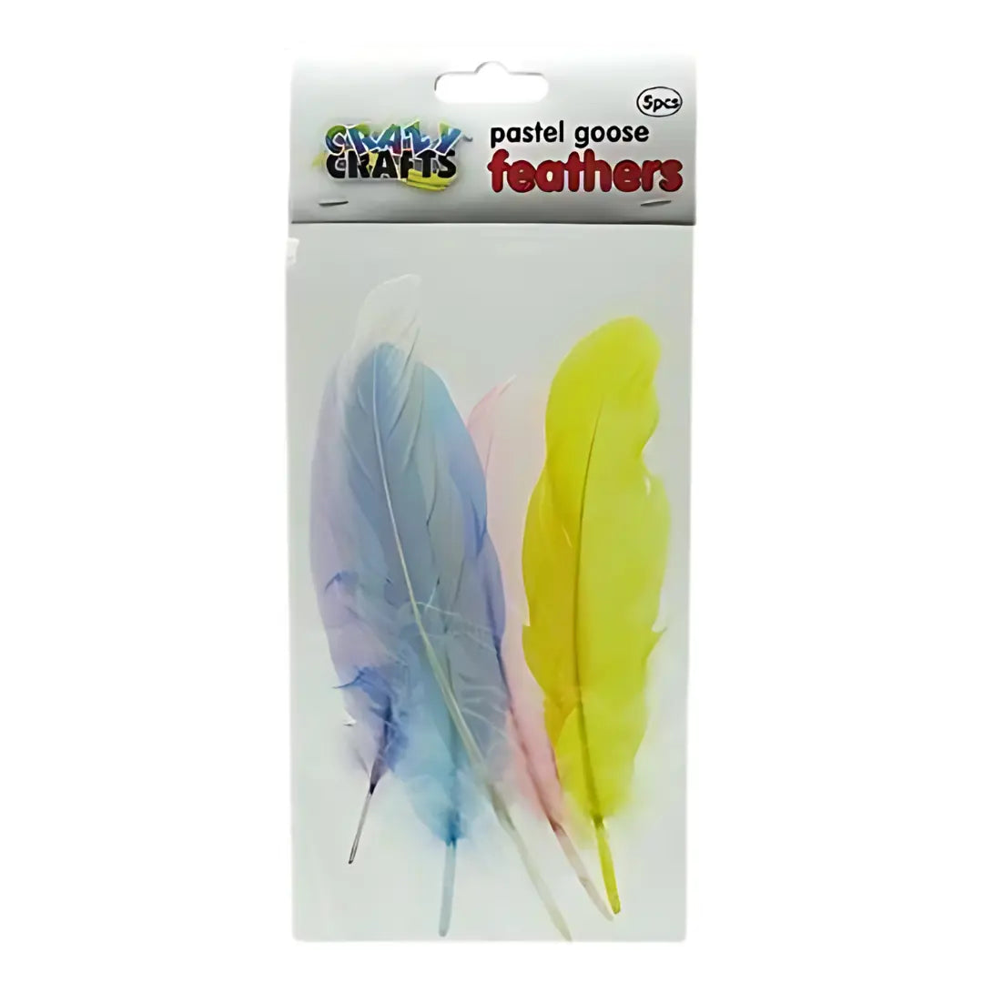 Crazy Crafts Mixed Goose Feathers - Large, Assorted Colours, 5pcs Crazy Crafts