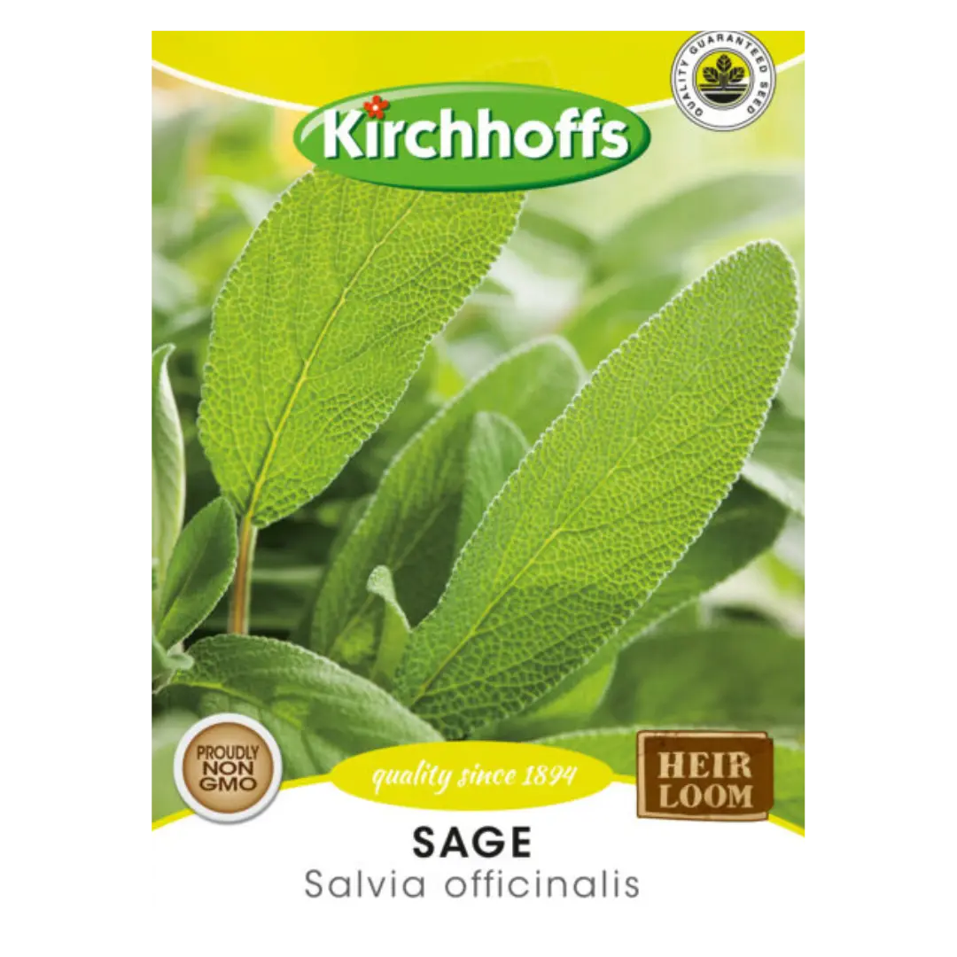 Sage (Salvia officinalis) - Kirchhoff Seeds, Herbs Kirchhoffs