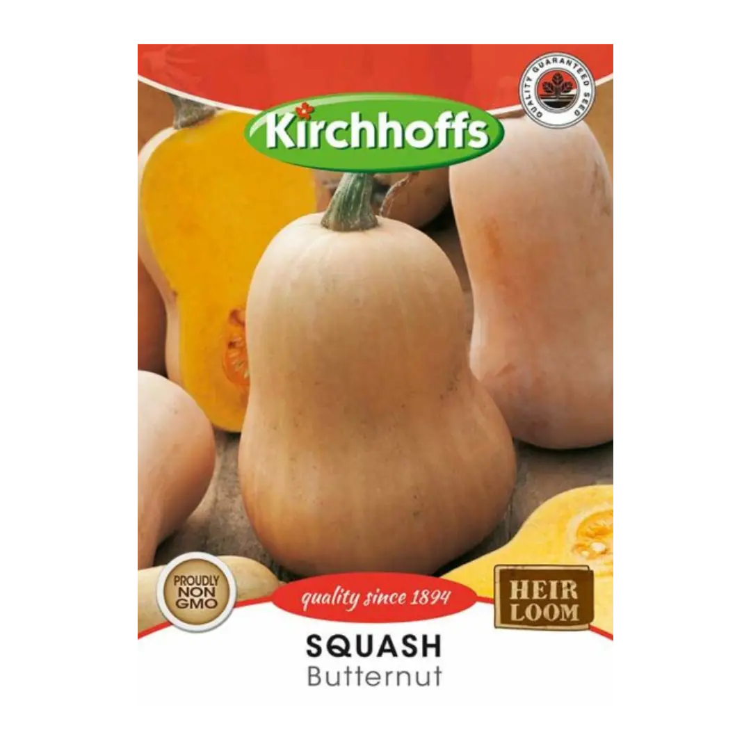 Squash (Butternut) - Kirchhoff Seeds, Vegetables Kirchhoffs