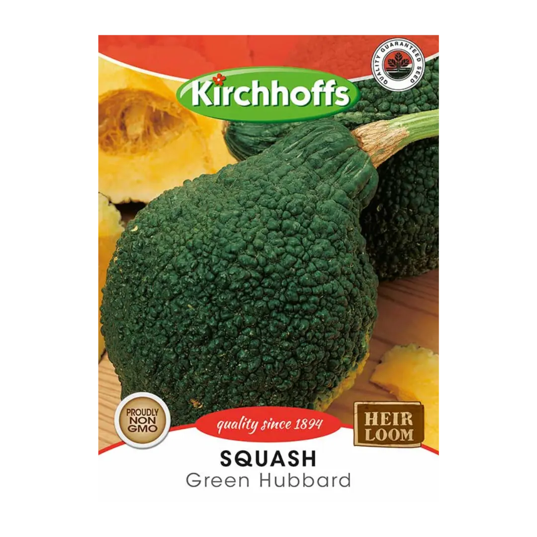 Squash (Green Hubbard) - Kirchhoff Seeds, Vegetables Kirchhoffs