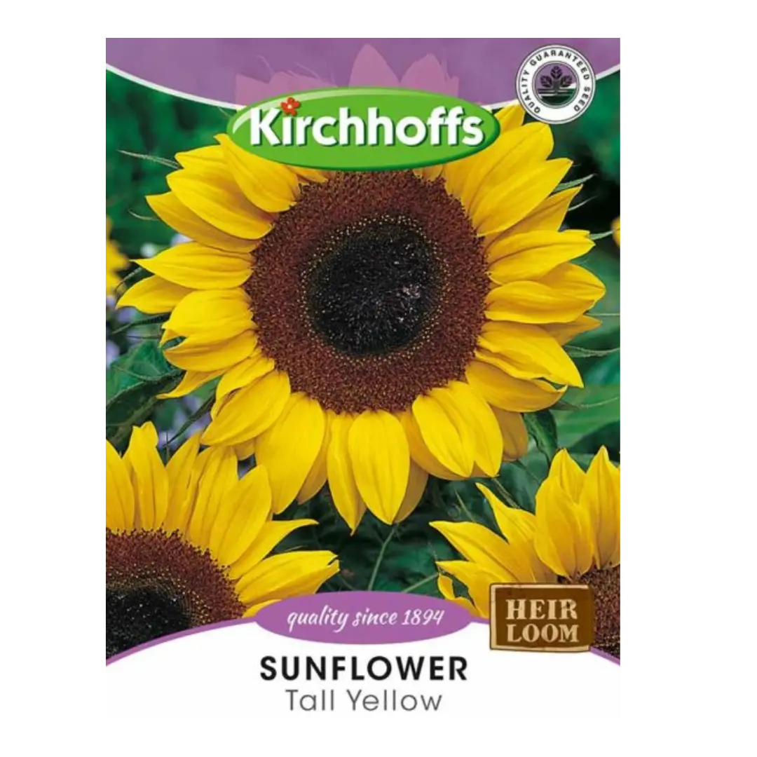 Sunflower (Tall Yellow) - Kirchhoff Seeds, Flowers Kirchhoffs