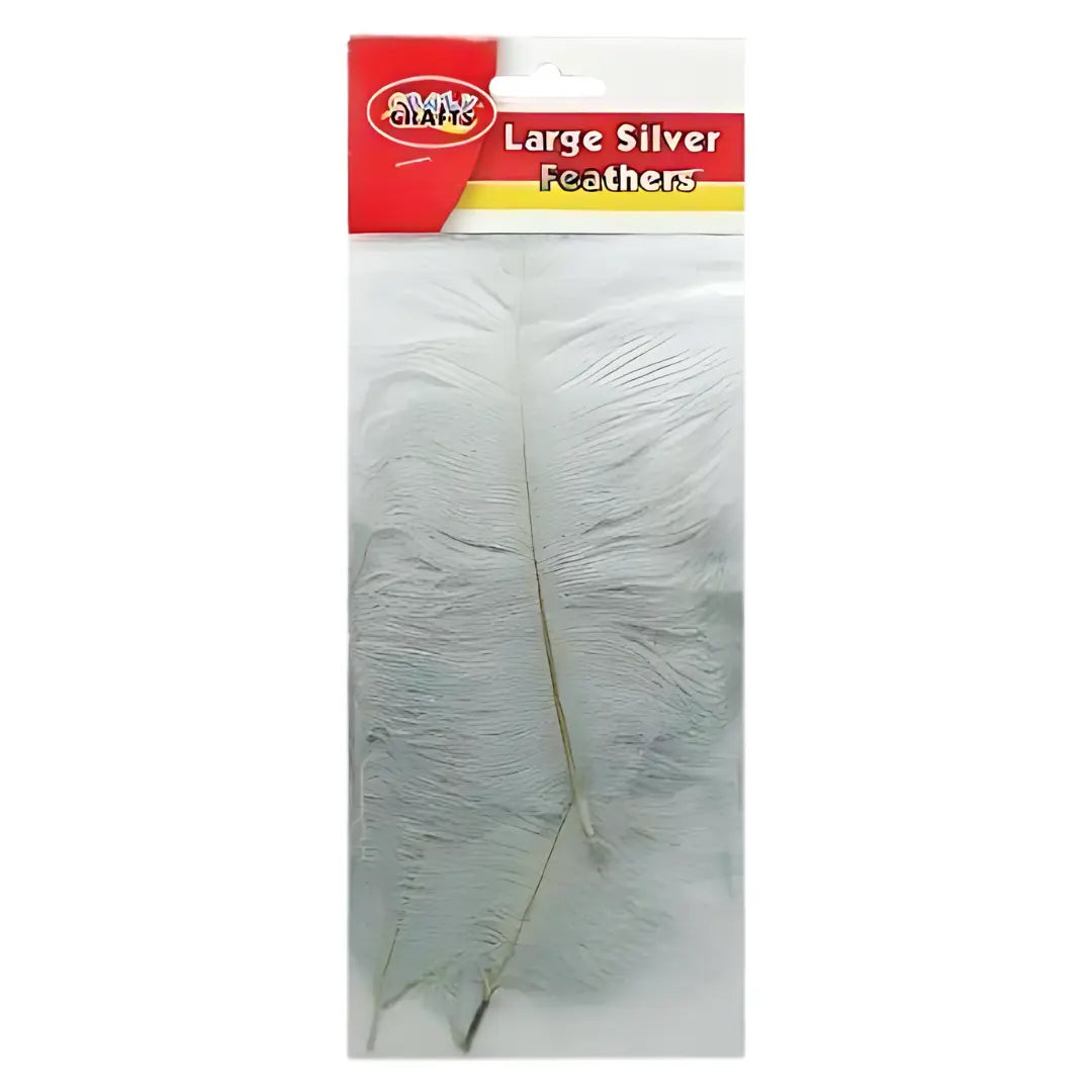 Crazy Crafts Mixed Goose Feathers - Large, Assorted Colours, 5pcs Crazy Crafts