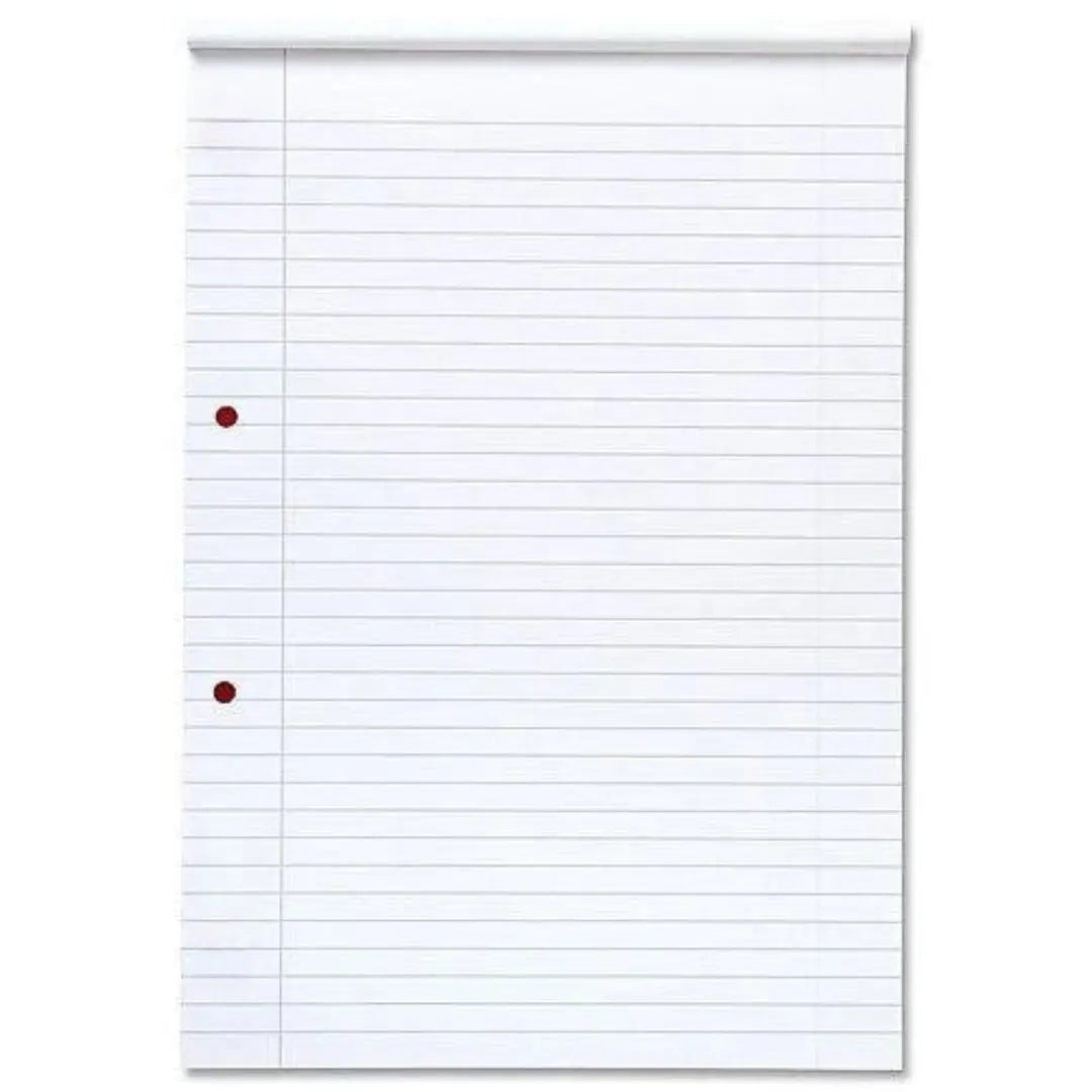 Exam Pad 80 Sheets Punched Honey Bee