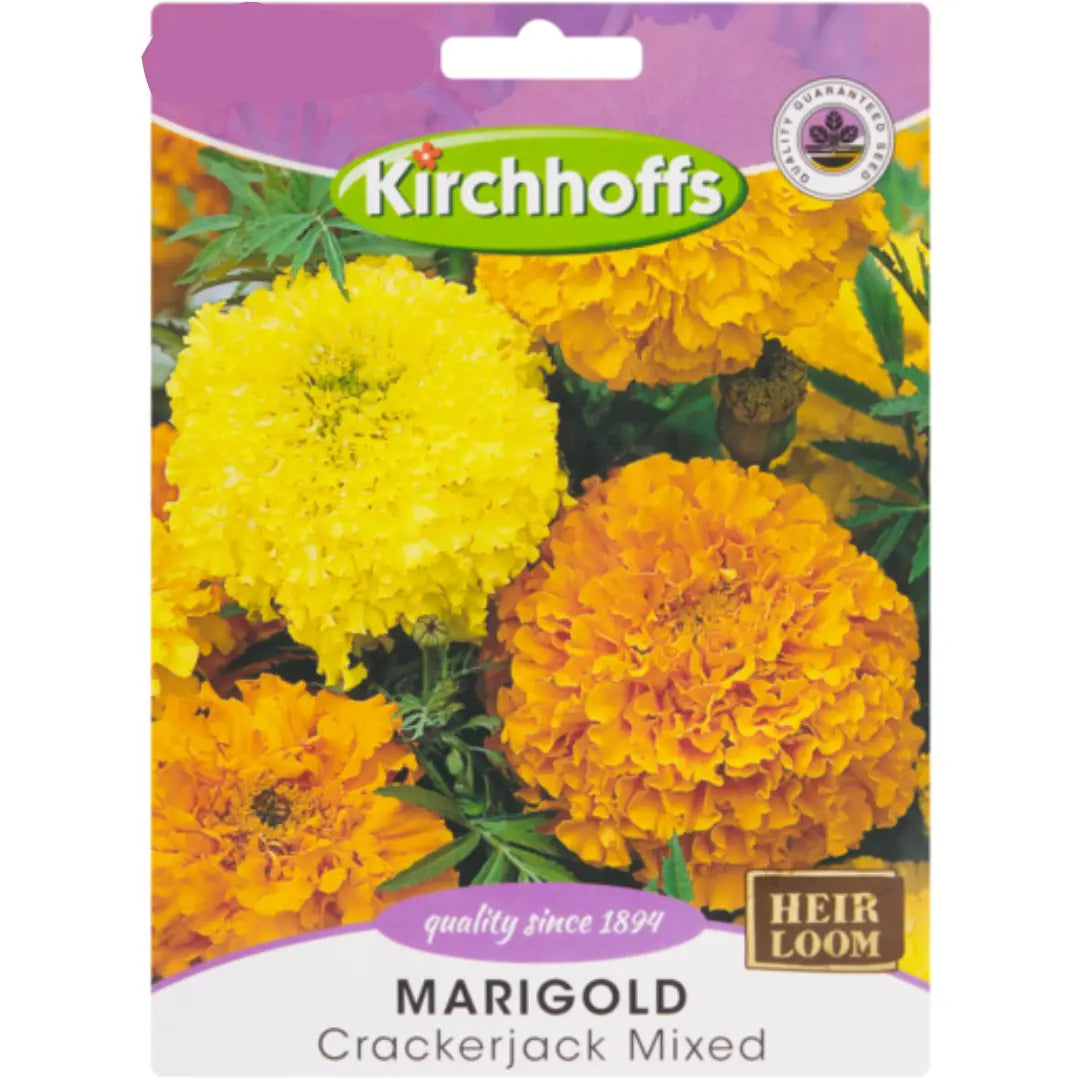 Marigold (Crackerjack Mixed) - Kirchhoff Seeds, Flowers Kirchhoffs