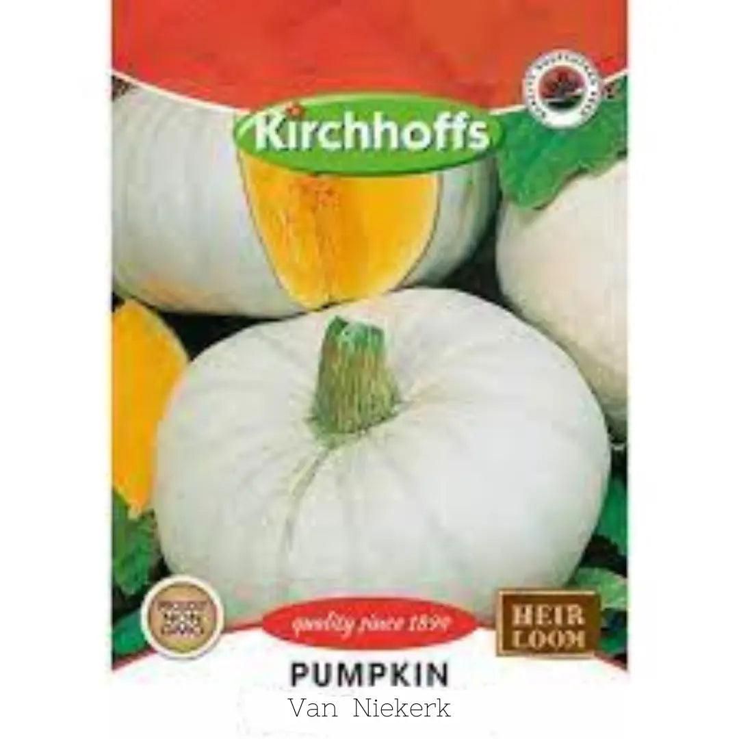 Pumpkin (Van Niekerk) - Kirchhoff Seeds, Vegetables Kirchhoffs