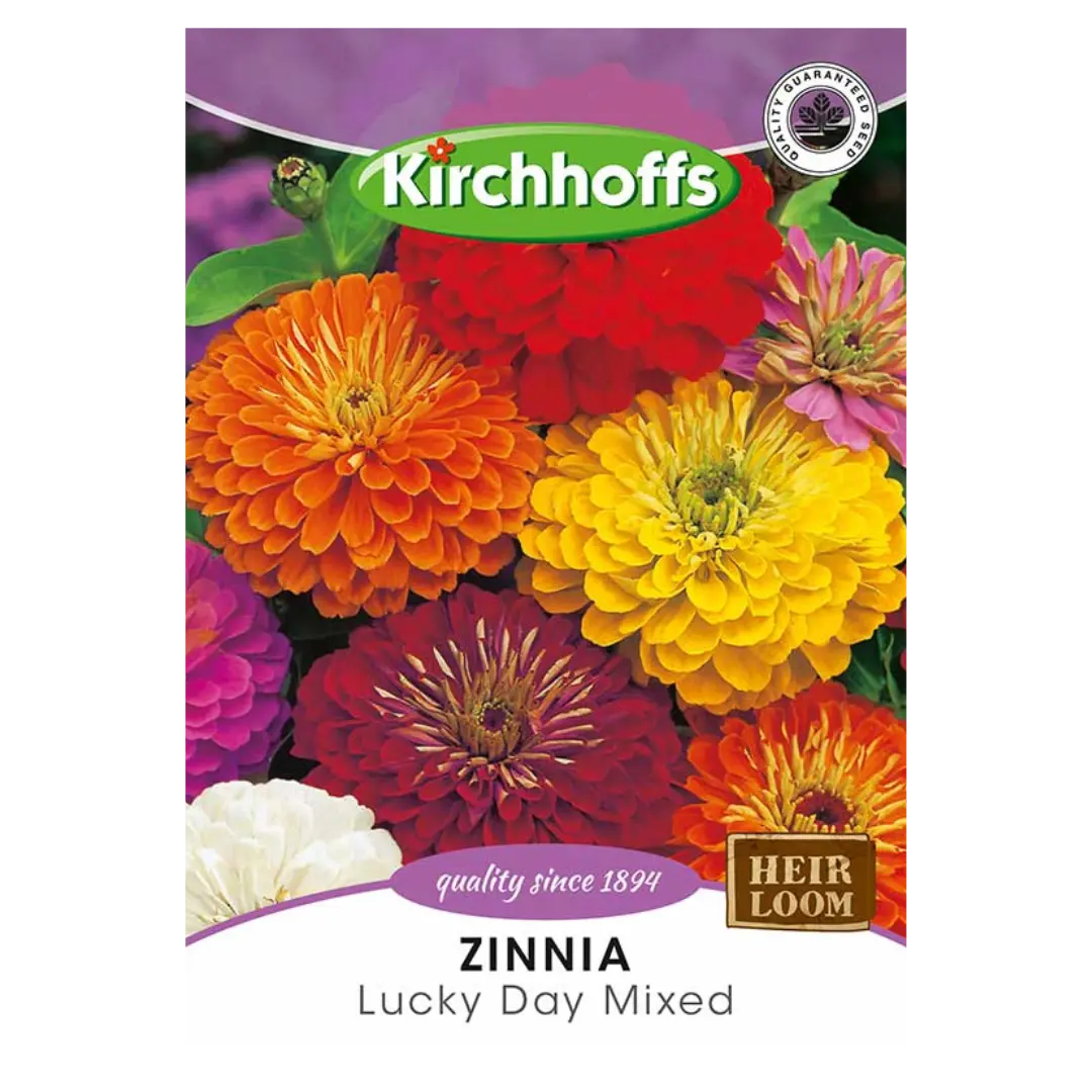 Zinnia (Lucky Day Mixed) - Kirchhoff Seeds, Flowers Kirchhoffs