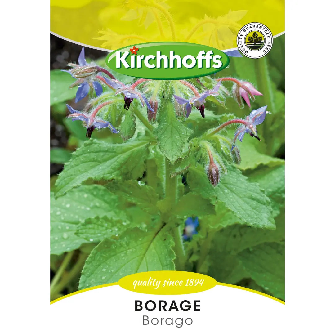Borage (Borago) - Kirchhoff Seeds, Herbs Honey Bee Online