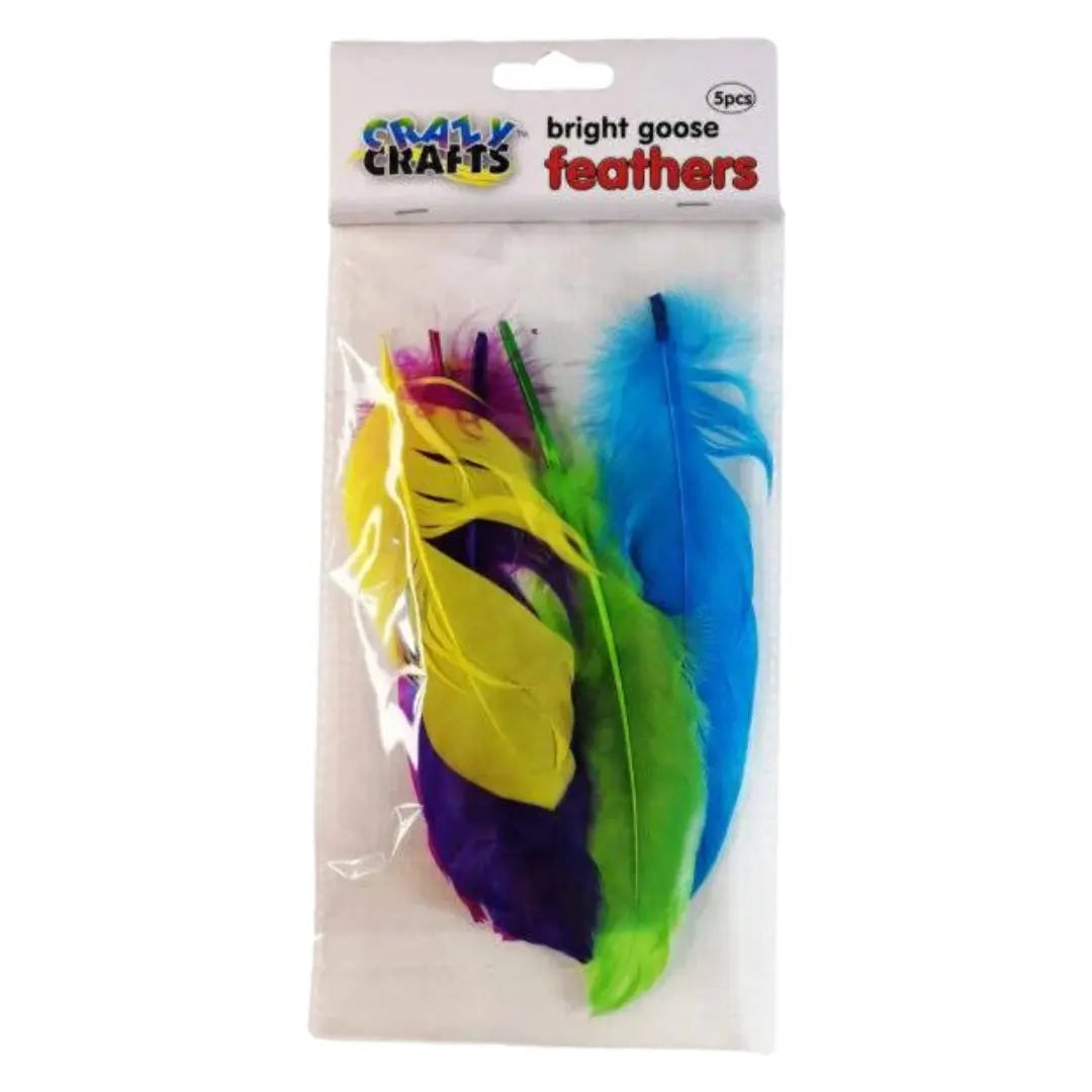 Crazy Crafts Mixed Goose Feathers - Large, Assorted Colours, 5pcs Crazy Crafts