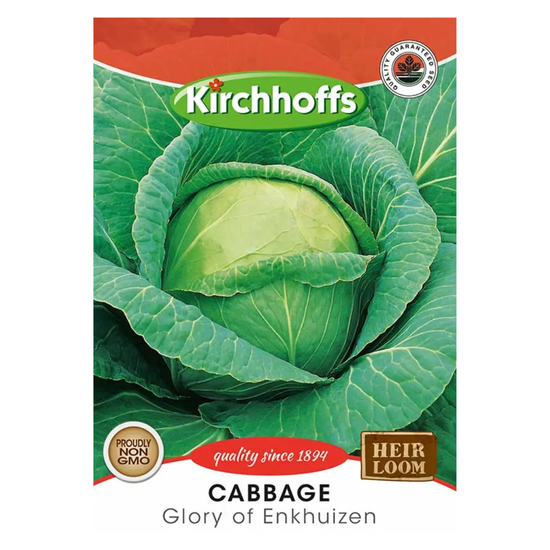 Cabbage (Glory of Enkhuizen) - Kirchhoff Seeds, Vegetables Kirchhoffs