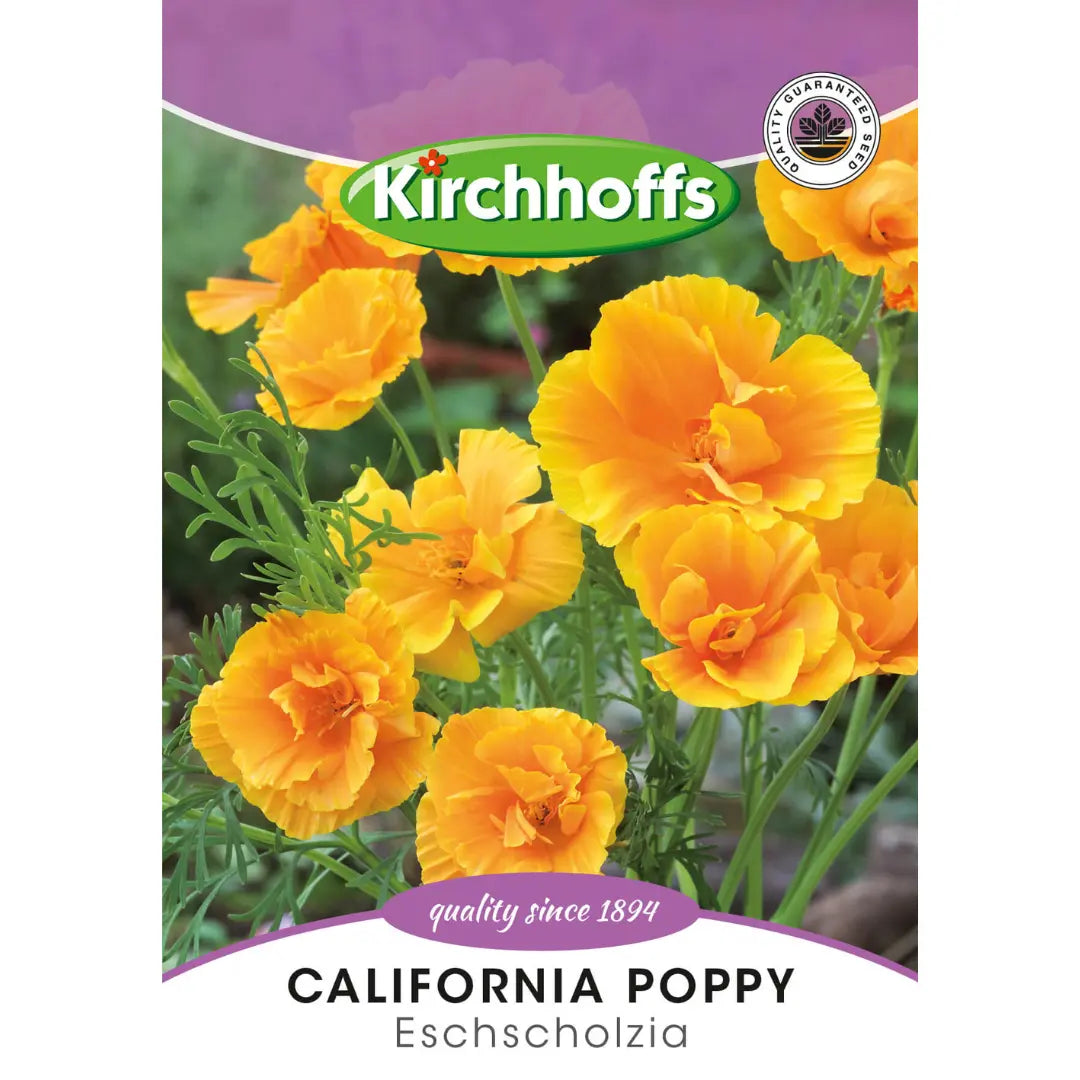 California Poppy (Eschscholzia) - Kirchhoff Seeds, Flowers Kirchhoffs