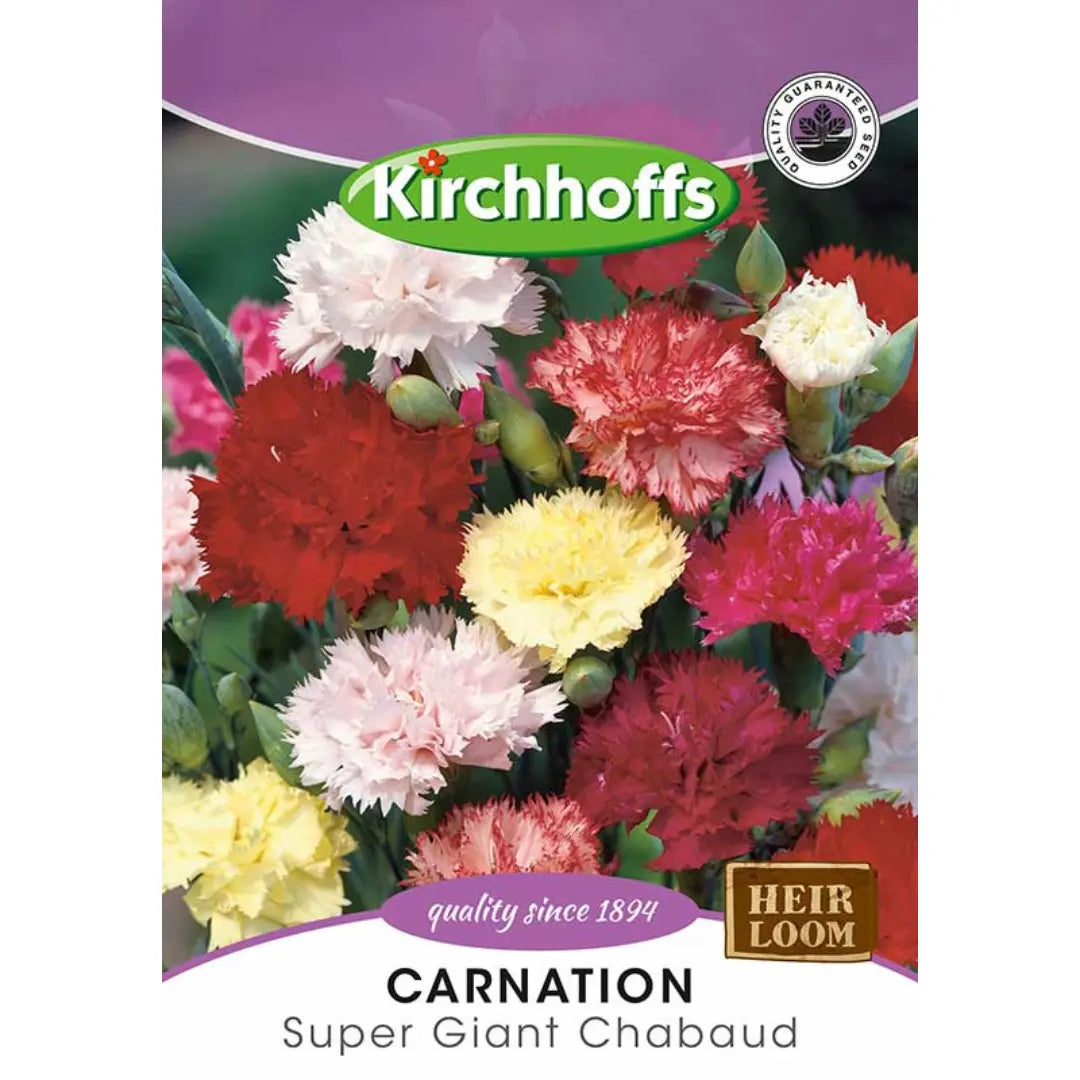 Carnation (Super Giant Chabaud) - Kirchhoff Seeds, Flowers Kirchhoffs