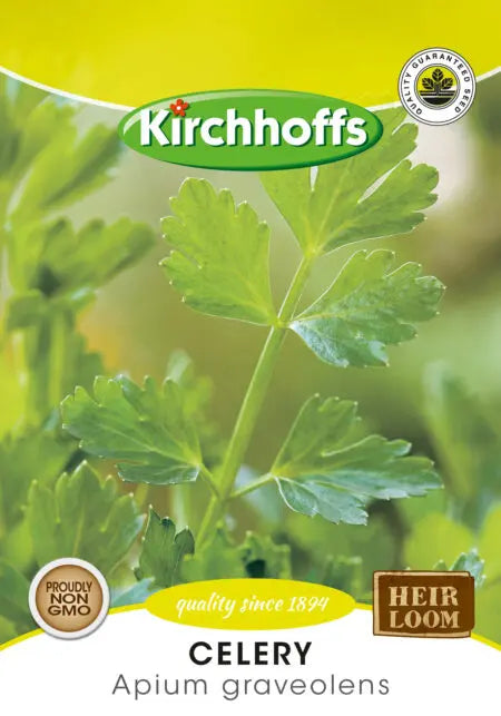 Celery (Apium Graveolens) - Kirchhoff Seeds, Herbs Kirchhoffs