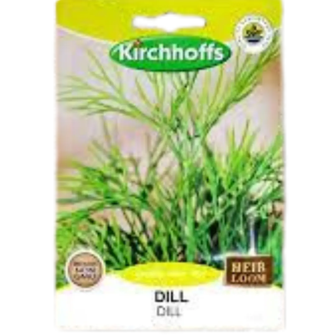 Dill - Kirchhoff Seeds, Herbs Kirchhoffs