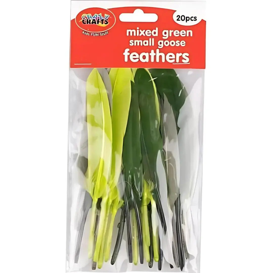 Crazy Crafts Mixed Goose Feathers - Small, Assorted Colours, 20pcs Crazy Crafts