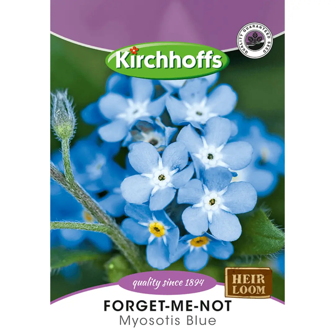 Forget Me Not (Myosotis Blue) - Kirchhoff Seeds, Flowers Kirchhoffs