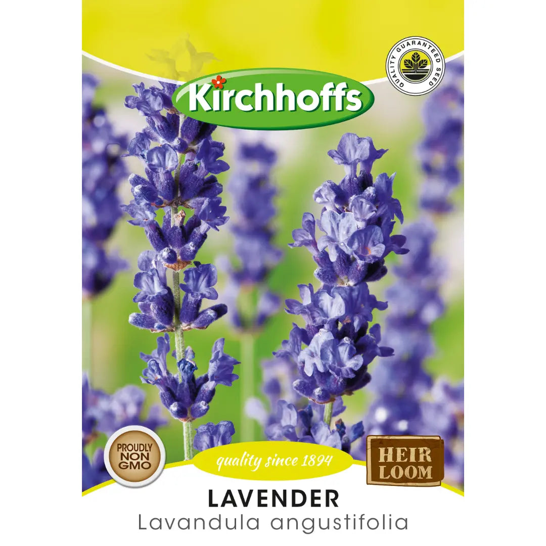 Lavender (Lavandula anggustilfolia) - Kirchhoff Seeds, Herbs Kirchhoffs