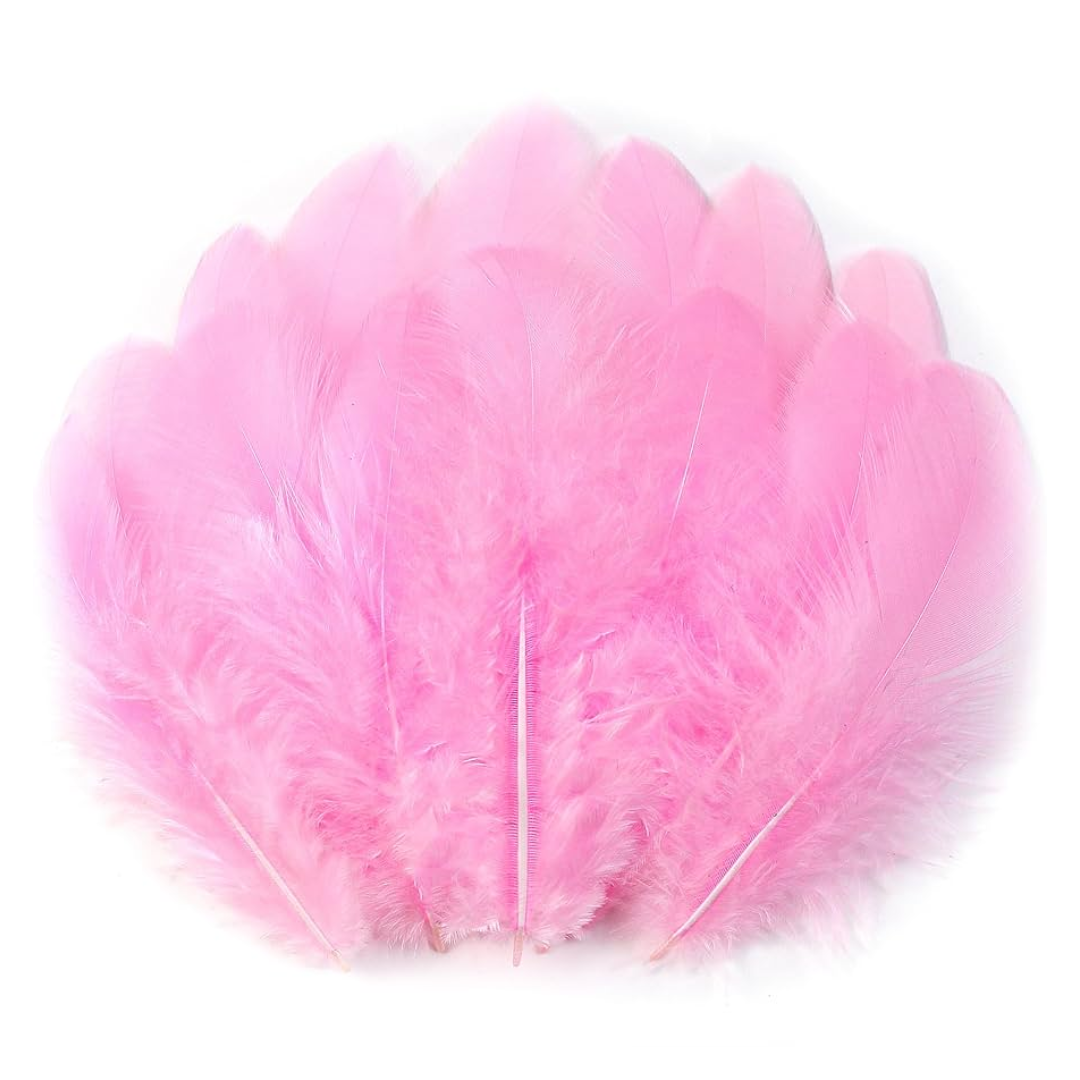 Crazy Crafts Pink Feathers 7g