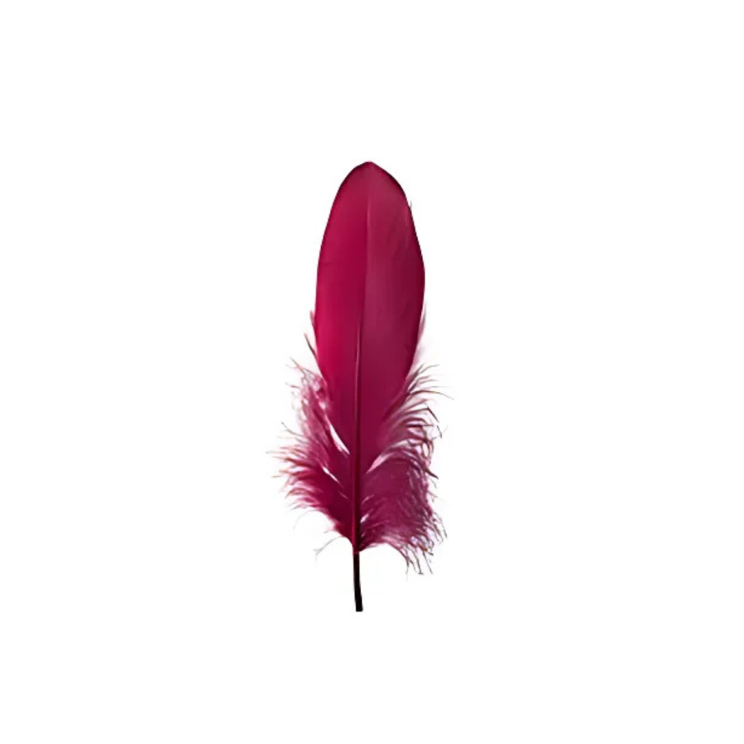 Crazy Crafts Cerise Feathers 7g