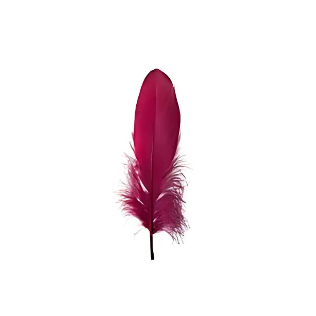 Crazy Crafts Cerise Feathers 7g Crazy Crafts