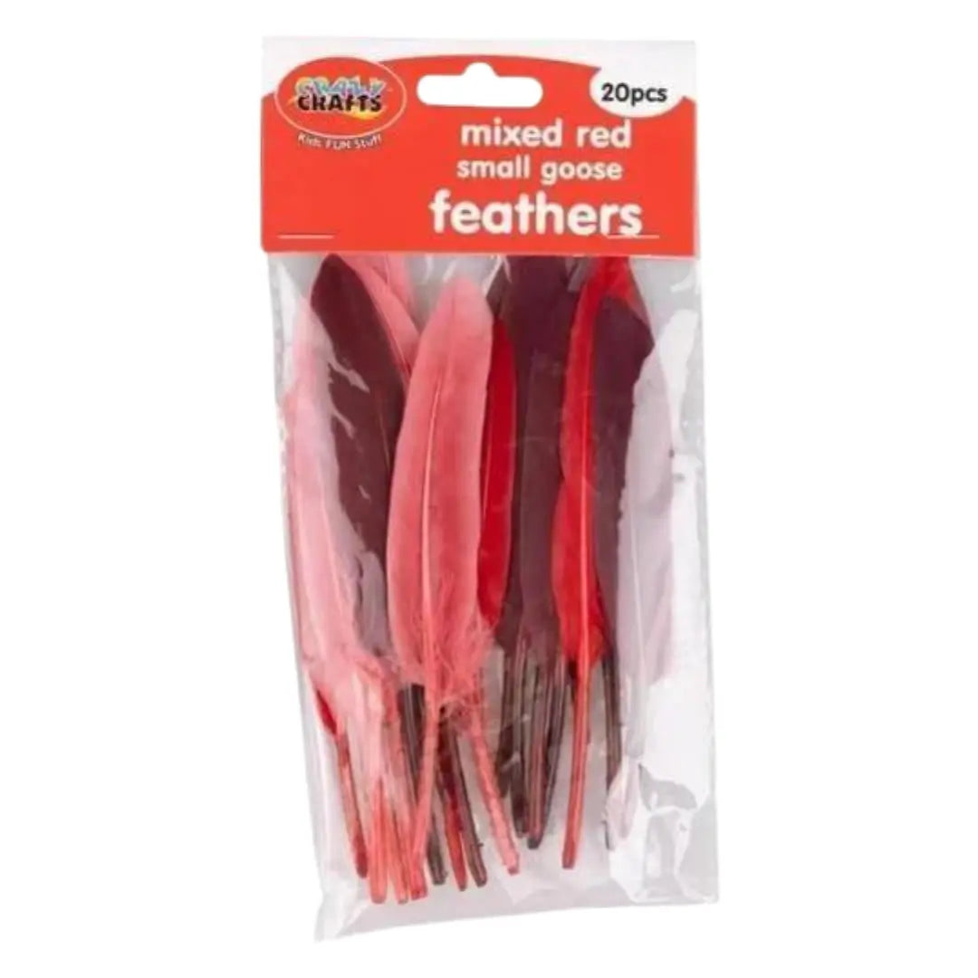 Crazy Crafts Mixed Goose Feathers - Small, Assorted Colours, 20pcs Crazy Crafts