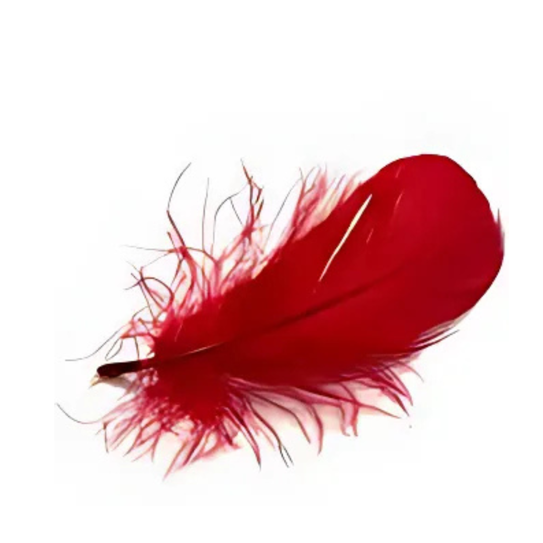 Crazy Crafts Red Feathers 7g
