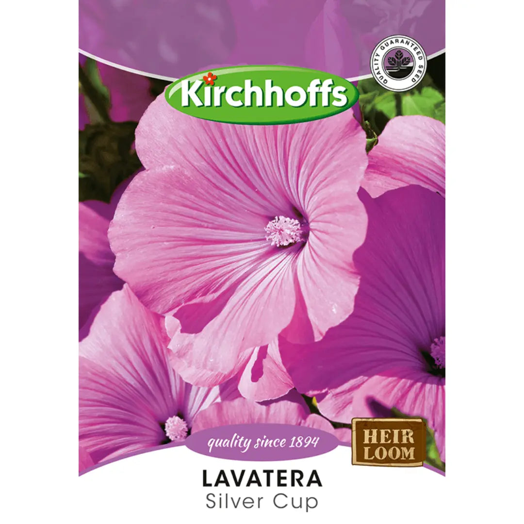 Lavatera (Silver Cup) - Kirchhoff Seeds, Flowers Kirchhoffs