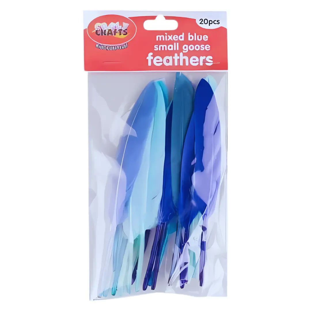 Crazy Crafts Mixed Goose Feathers - Small, Assorted Colours, 20pcs Crazy Crafts
