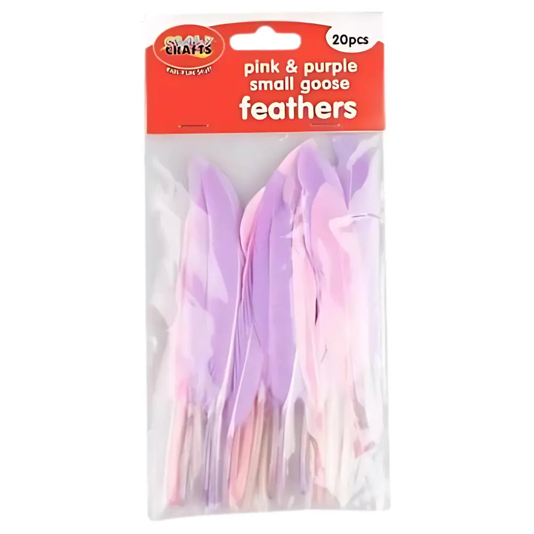 Crazy Crafts Mixed Goose Feathers - Small, Assorted Colours, 20pcs Crazy Crafts