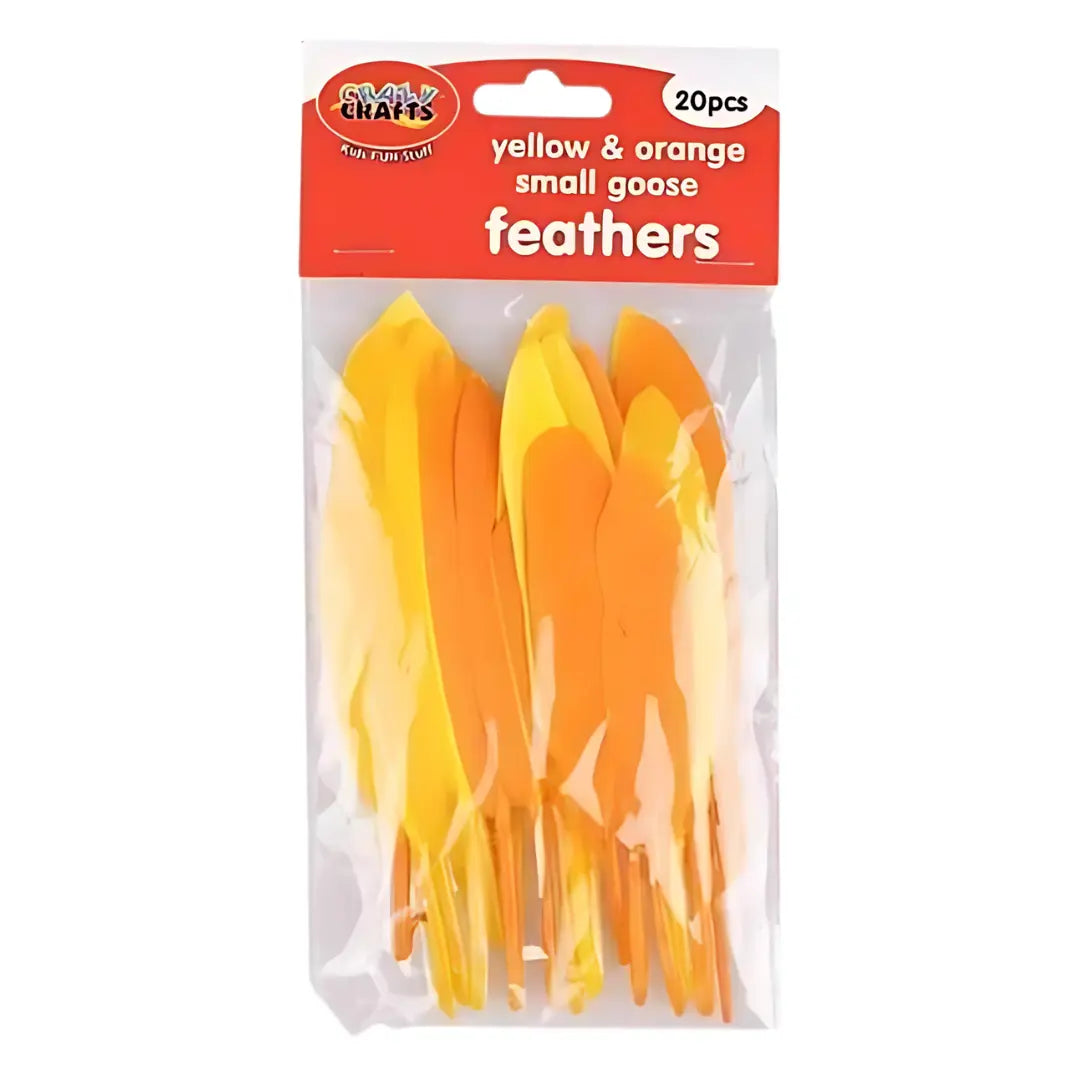 Crazy Crafts Mixed Goose Feathers - Small, Assorted Colours, 20pcs Crazy Crafts
