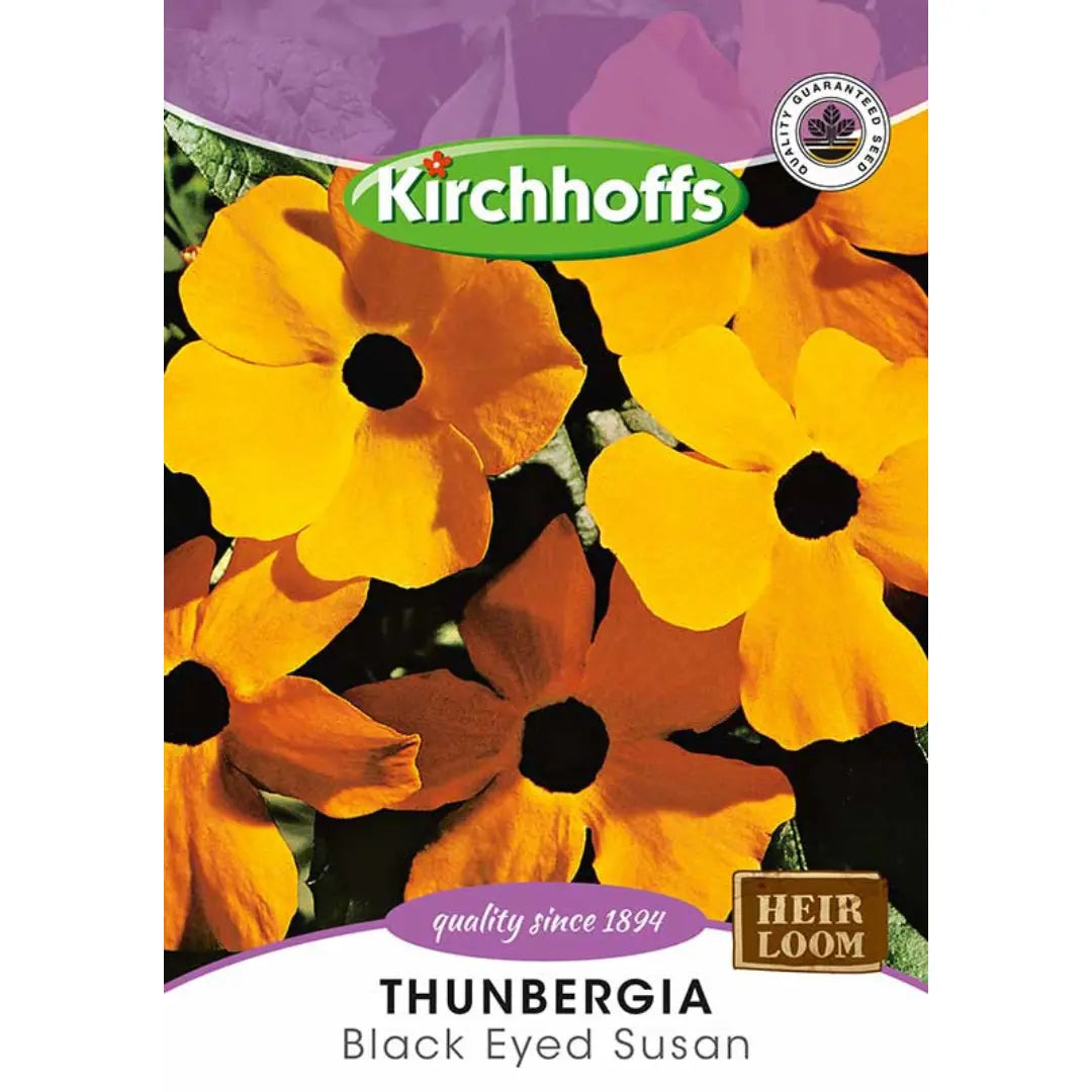 Thunbergia (Black Eyed Susan) - Kirchhoff Seeds, Flowers Kirchhoffs