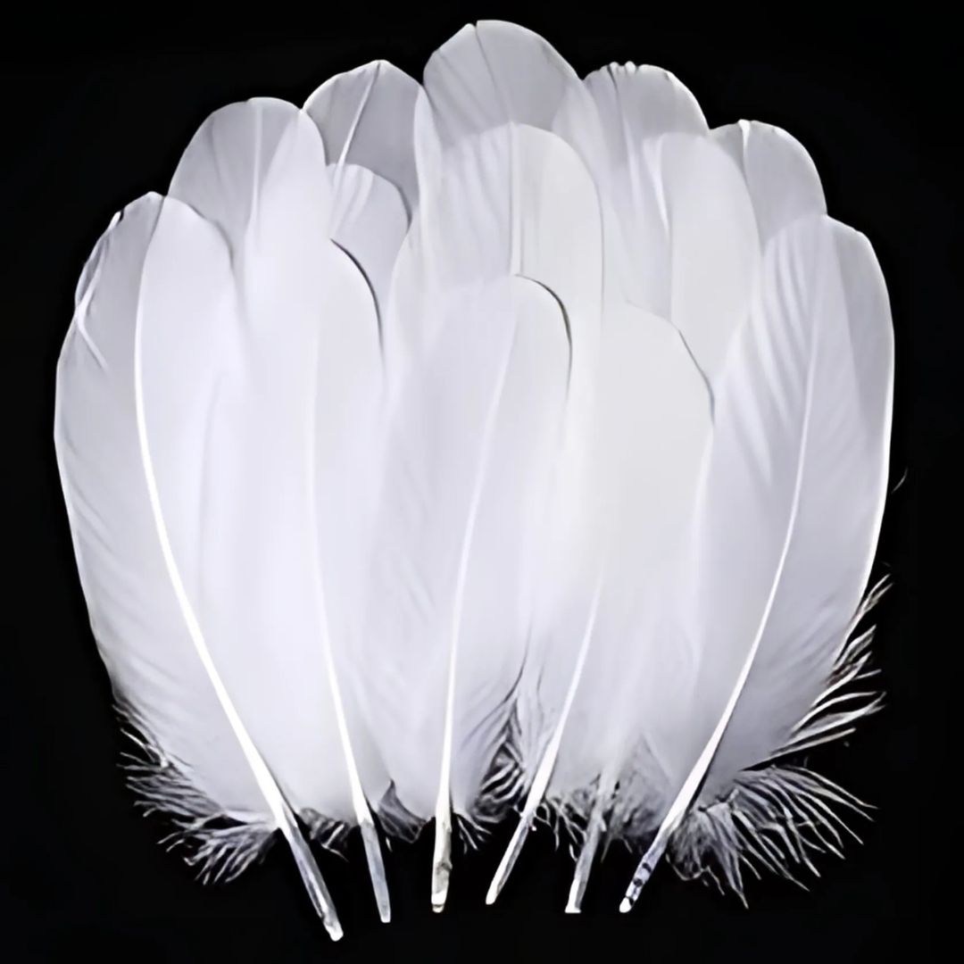 Crazy Crafts White Feathers 7g