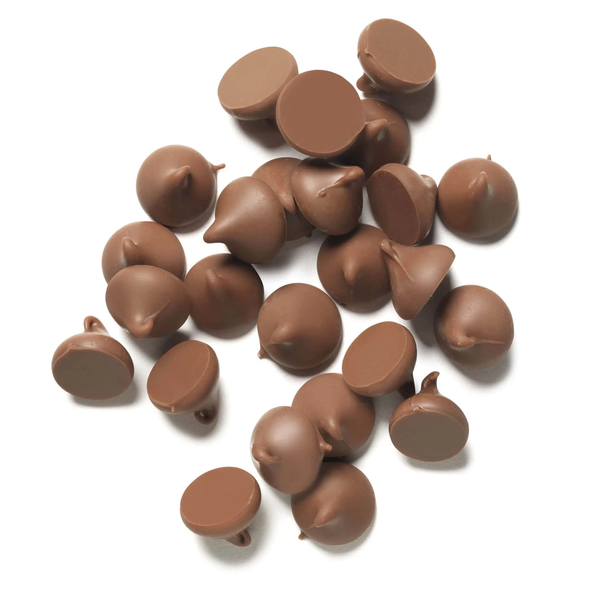 Chocolate Chips Honey Bee