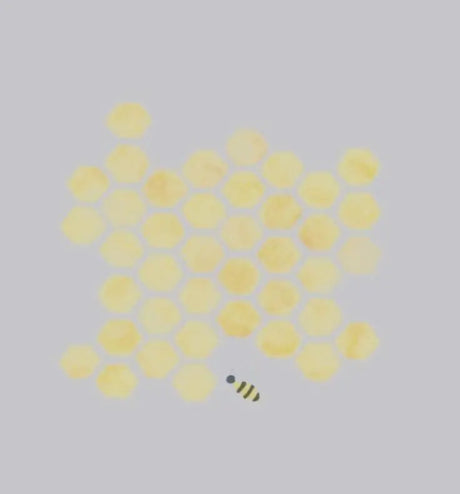 Kitchen Appliances Honey Bee Online