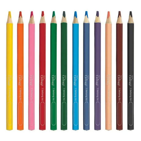 Beginner Colour Pencils Honey Bee Online