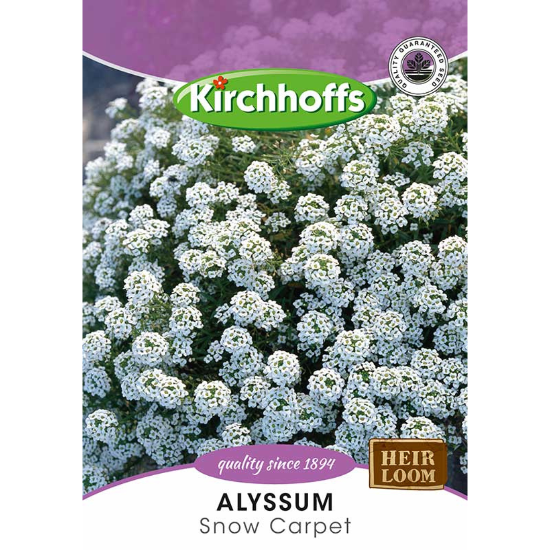 Alyssum (Snow Carpet) - Kirchhoff Seeds, Flowers,