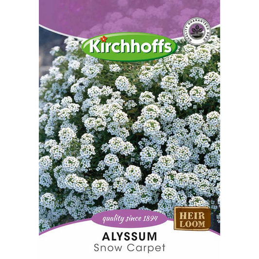 Alyssum (Snow Carpet) - Kirchhoff Seeds, Flowers,