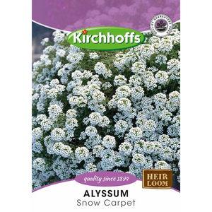 Alyssum (Snow Carpet) - Kirchhoff Seeds, Flowers,