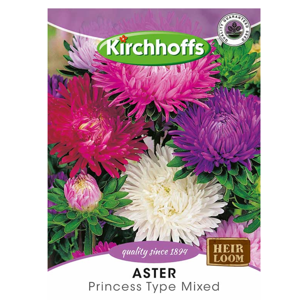 Aster (Princess type mixed) - Kirchhoff Seeds, Flowers