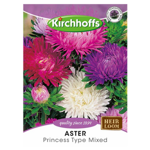 Aster (Princess type mixed) - Kirchhoff Seeds, Flowers