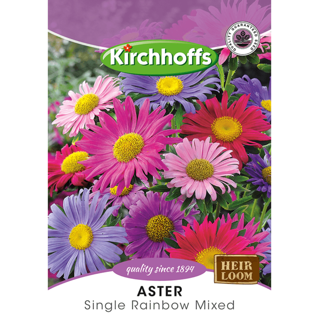 Aster (Single Rainbow Mixed) - Kirchhoff Seeds, Flowers