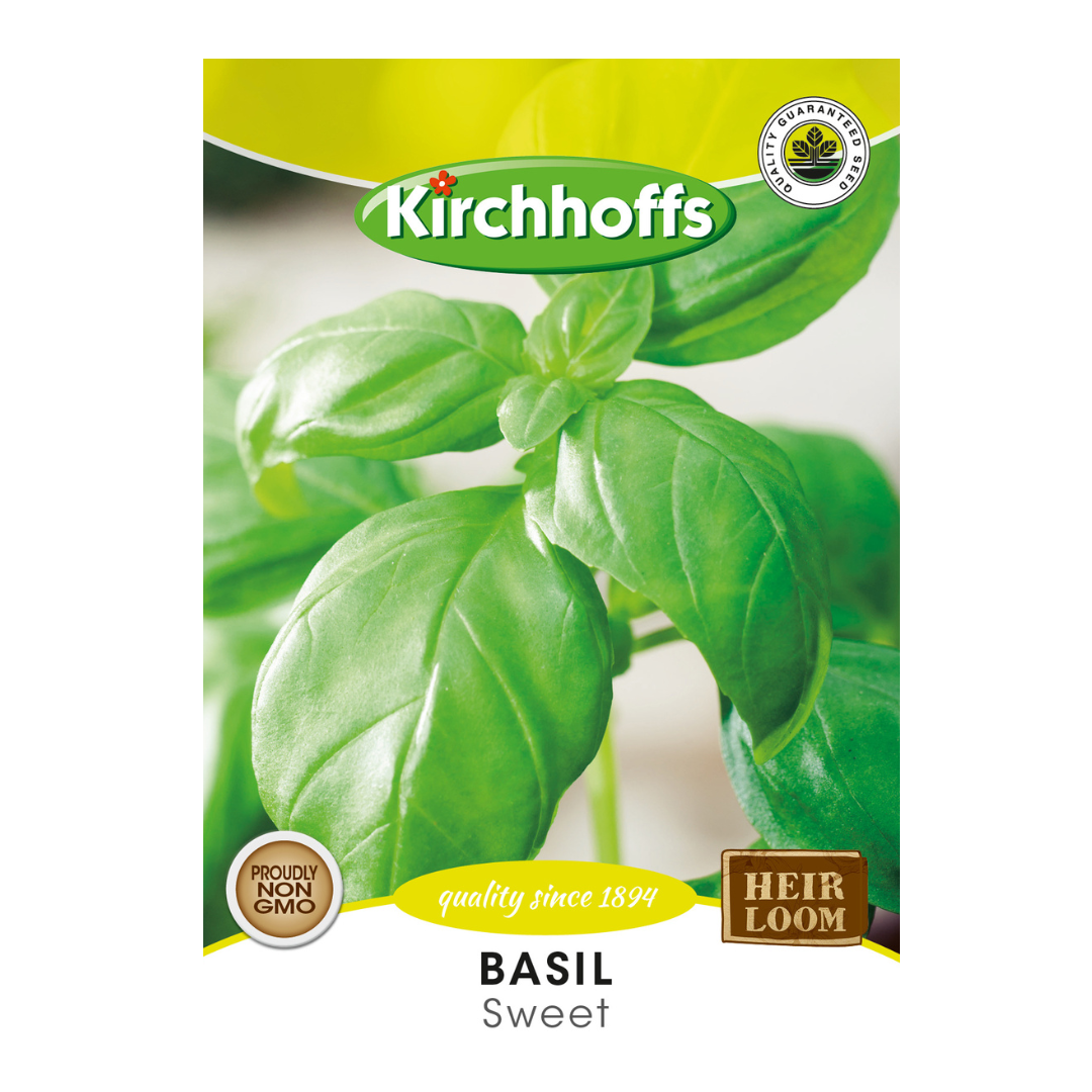 Basil (Sweet) - Kirchhoff Seeds, Herbs